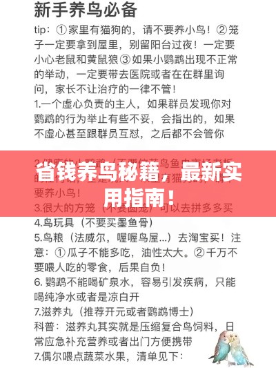 最新養鳥(niǎo)法規解析，觀(guān)點(diǎn)闡述與深度探討