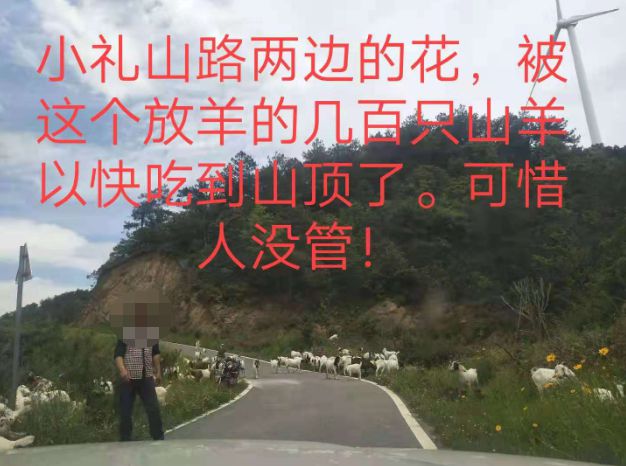 大悟最新路，探索未知，自信成就夢(mèng)想之旅的啟程