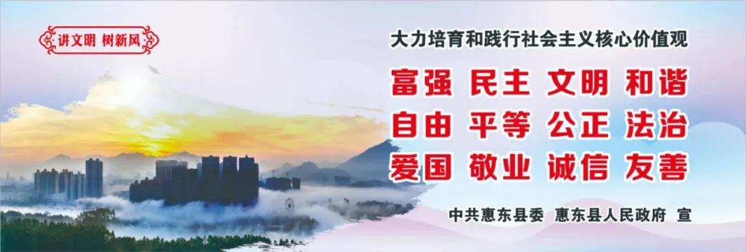 惠州肺炎最新動(dòng)態(tài)，小巷深處的獨特小店背后的故事