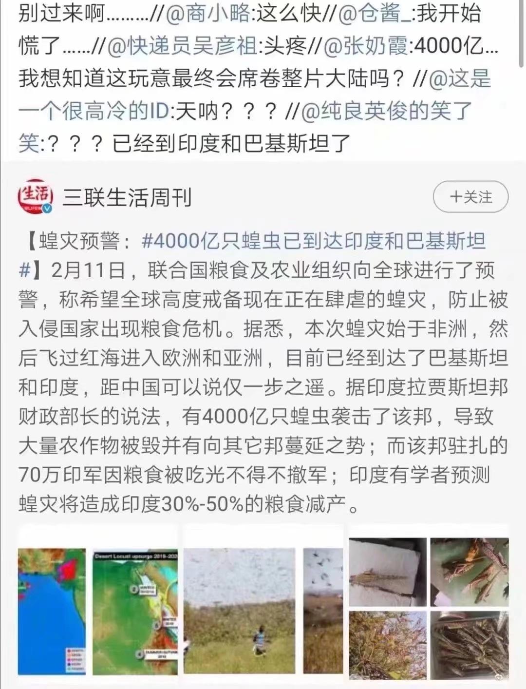 蝗蟲(chóng)最新動(dòng)態(tài)，防治與監測的全面指南