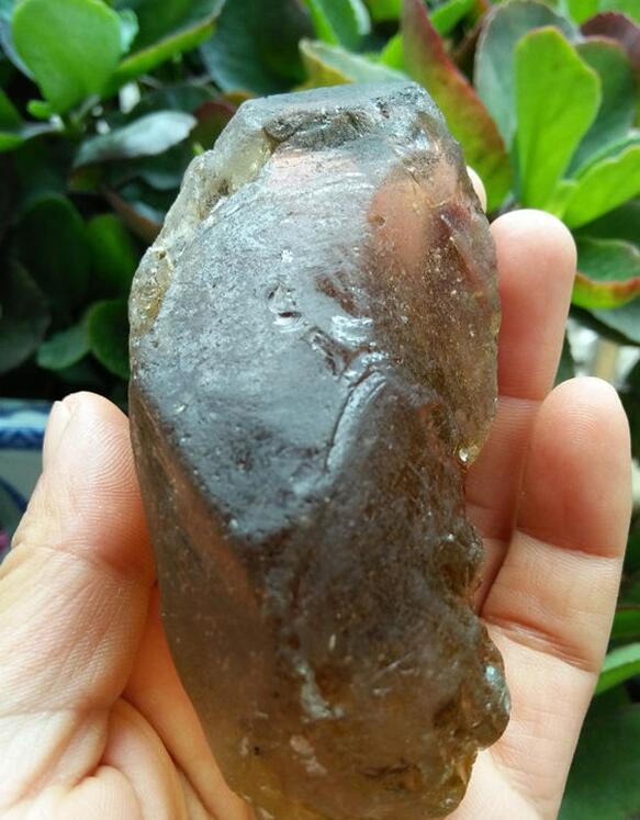 最新鑒定法，揭示友情的印記與家的溫馨