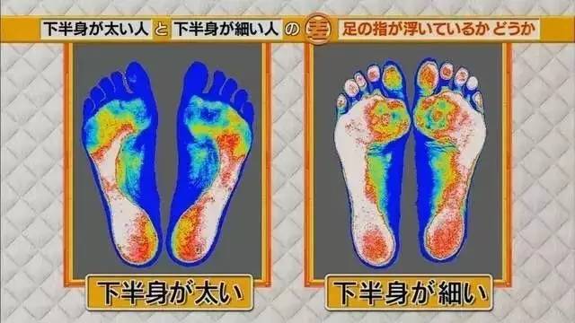 最新地趾論述，探索、爭議與觀(guān)點(diǎn)綜述