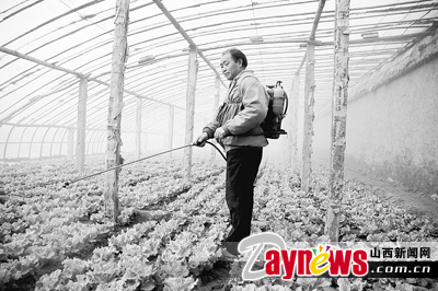 最新農藥抽檢結果出爐，守護農田安全，你我他的共同責任