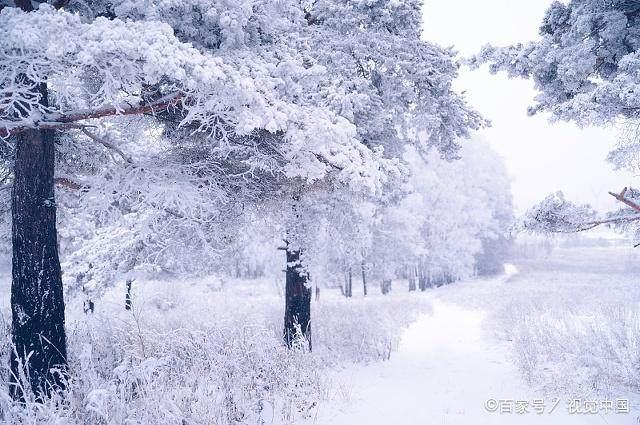 冬日暖陽(yáng)下的溫馨日常，最新冬美文精選