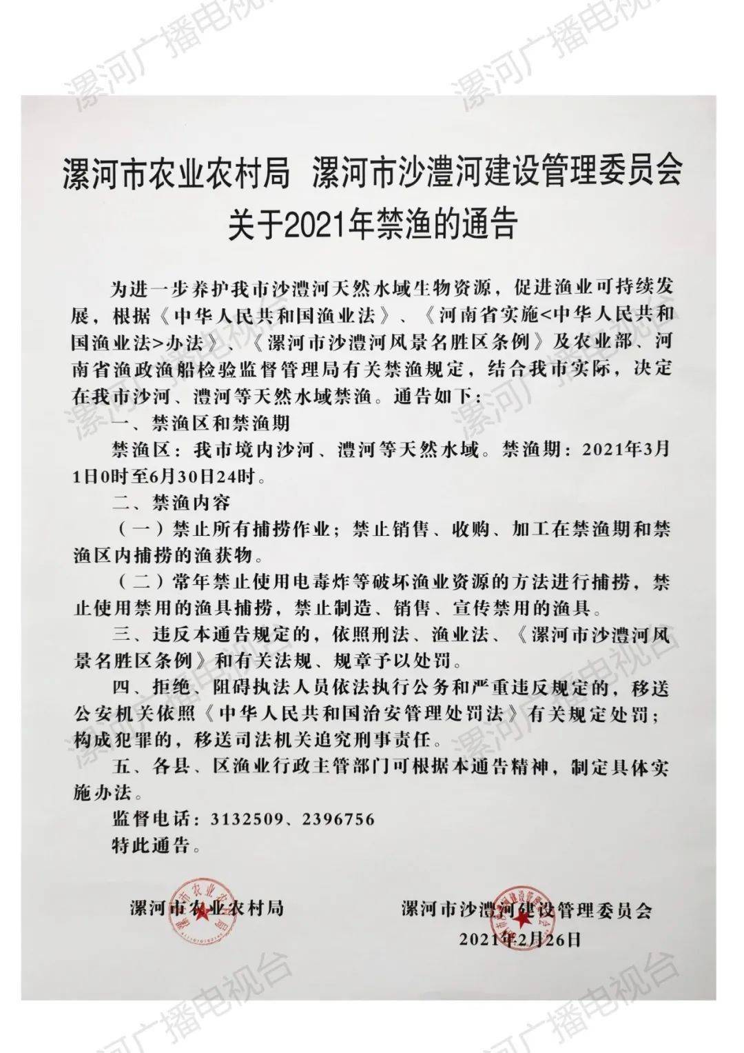 漯河最新通告，探索自然美景，尋覓內心寧靜與平和之旅