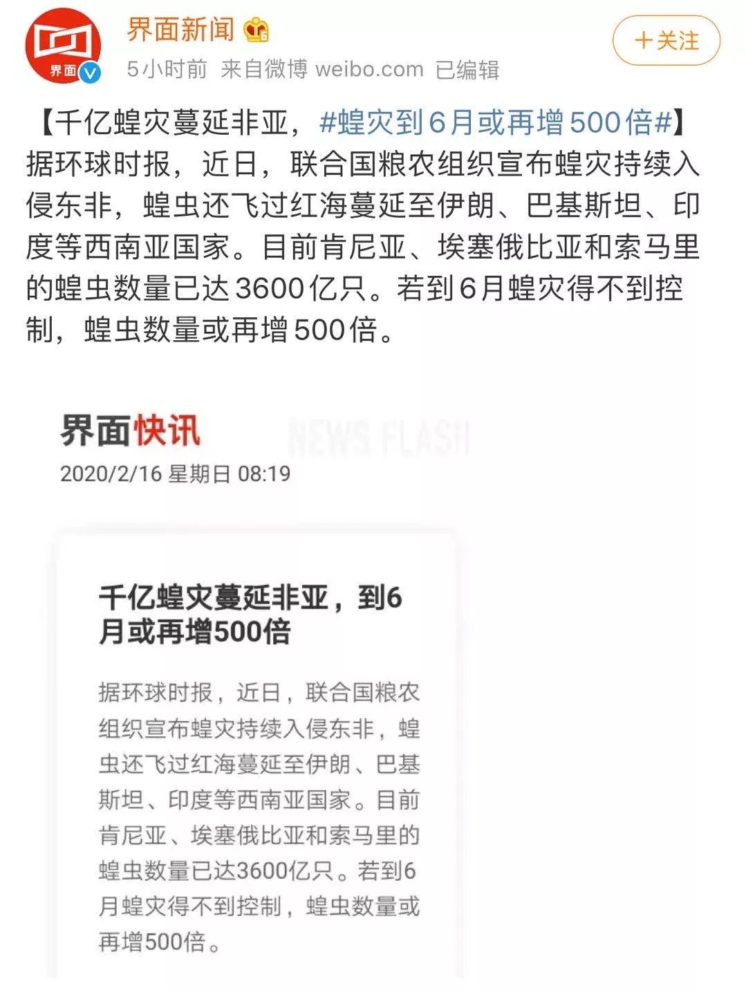 世界蝗災最新動(dòng)態(tài)，探索自然美景的輕松之旅