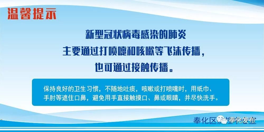 余姚最新確診背后的自然探索之旅，重拾心靈寧靜與平和