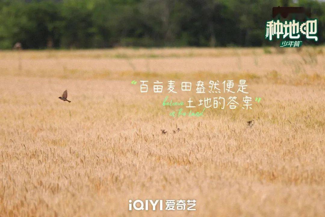 種地吧最新語(yǔ)錄，探索未來(lái)農業(yè)的高科技魅力