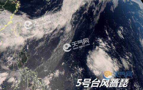 最新實(shí)時(shí)臺風(fēng)風(fēng)力查詢(xún)指南，風(fēng)力信息及查詢(xún)步驟全解析